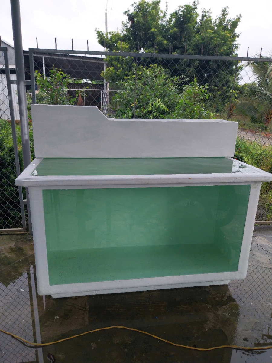 BỂ COMPOSITE CHUYÊN DÙNG NUÔI CÁ SĂN MỒI - THEO YÊU CẦU- 4 KHỐI