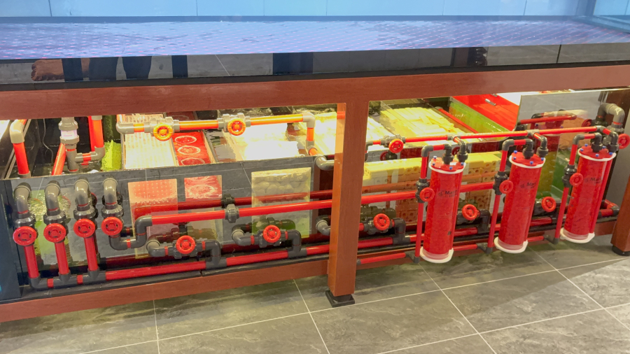 HỒ CÁ 3M05 X 1M06 X 1M06