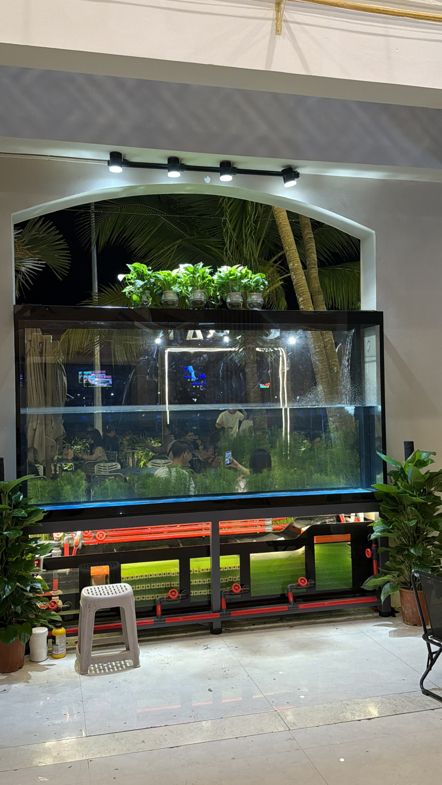 HỒ CÁ CÁNH BUỒM 3MET